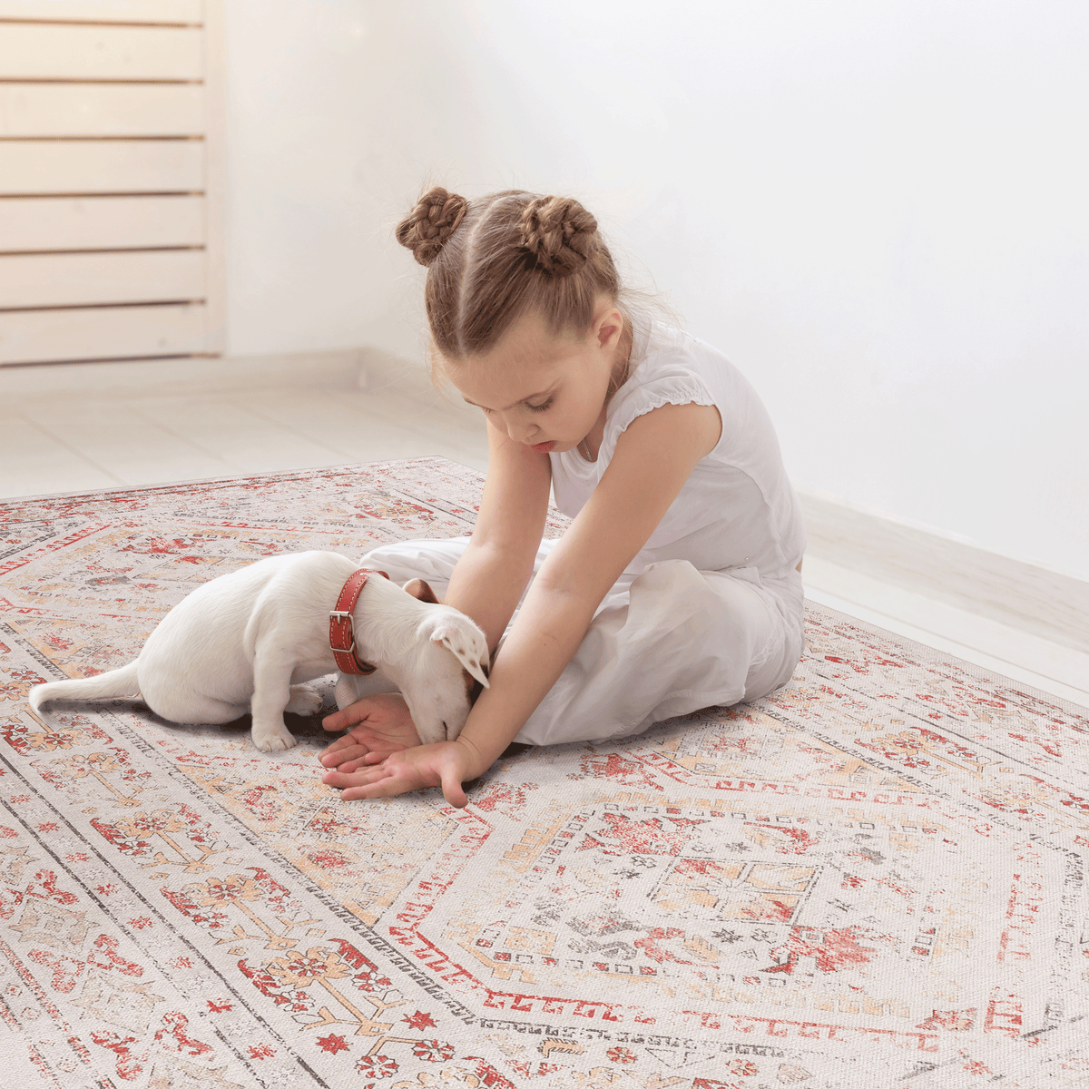 Naar 5x8 Area Rug, Washable Rug, Low-Pile, Non-Slip, Non-Shedding, Foldable, Kid & Pet Friendly - Area Rugs for living room, bedroom, kitchen, dining room rug - Beige Area Rug - (Beige, 5' x 8')