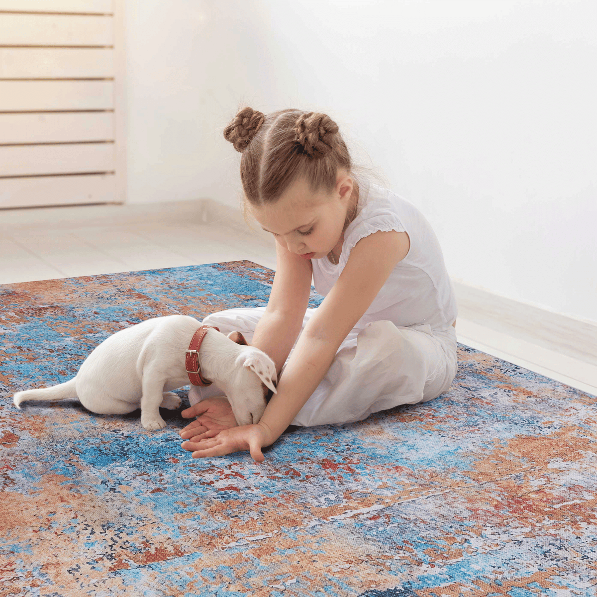 9x12 Area Rug for Living Room, Washable Rug, Low-Pile, Non-Slip, Non-Shedding, Foldable, Kid & Pet Friendly - Area Rugs for living room, bedroom, kitchen, dining room rug, (Multi, 9' x 12')