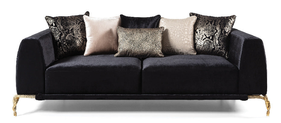 Shiny Thick Velvet Fabric Upholstered 2PC Living room set made with wood in Black
